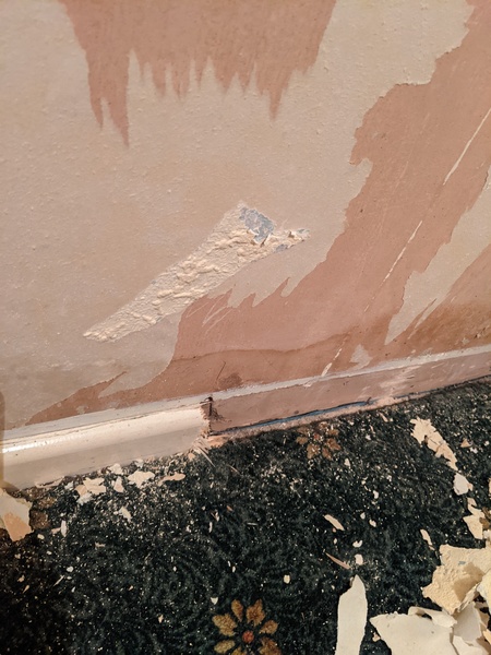 Internal wall damp help