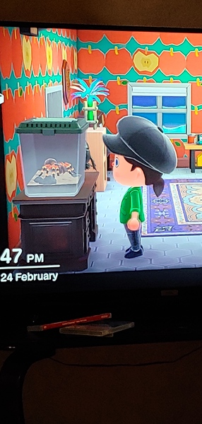 Animal Crossing New Horizons cont.