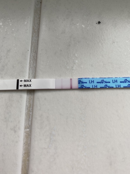 First time using Clearblue OPK - question