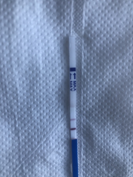 Support thread for women who are pregnant or TTC following a termination for abnormalities. Thread 7