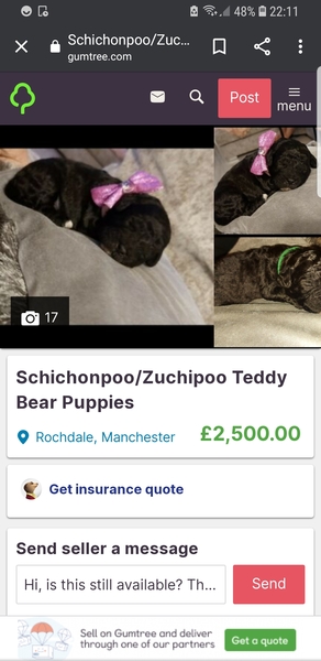 To ask people to please stop contributing to the overbreeding of dogs in lockdown?