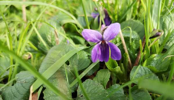 Signs of spring