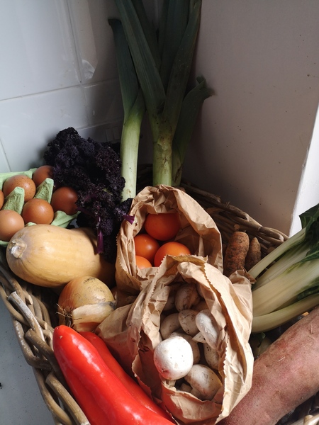 Week 3 - Jan '21 Low Carb Bootcamp - time for Light?