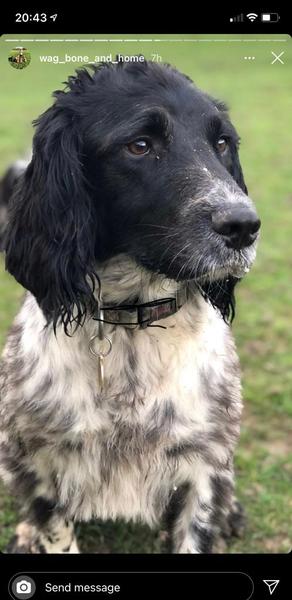 Week 3 - Jan '21 Low Carb Bootcamp - time for Light?