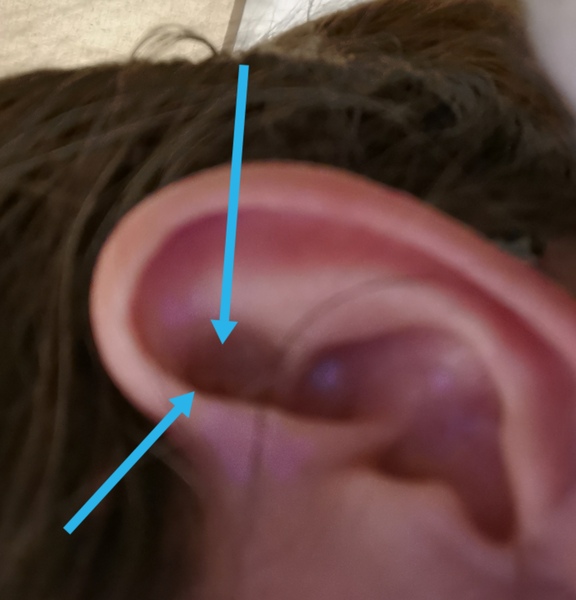 TTC 35+ Thread 6 Cougar and Silver Fox Club