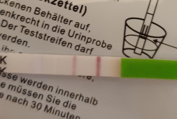 Feb Bus 2021 - no more TRYING to conceive, let's blimin do this!