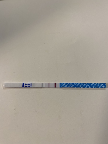 IVF January/February  2021? continued