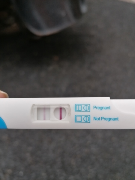 🦕 Catching up - ttc after miscarriage part 5 🦕