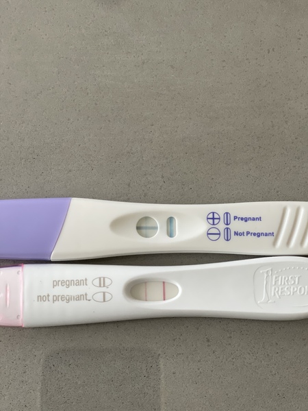 Am I pregnant? If so, I am due Nov 2021!