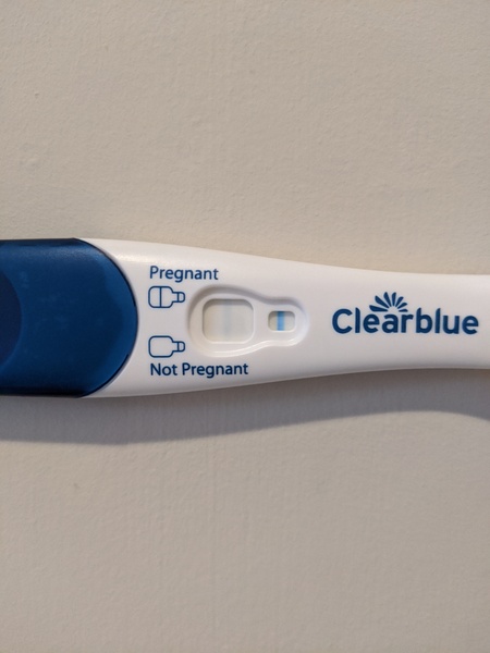 Feb Bus 2021 - no more TRYING to conceive, let's blimin do this!