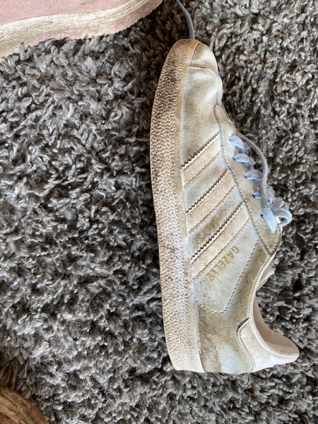 How to clean filthy suede trainers?