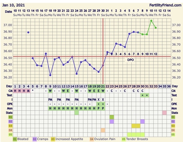 New Cycle starting 13/01/21