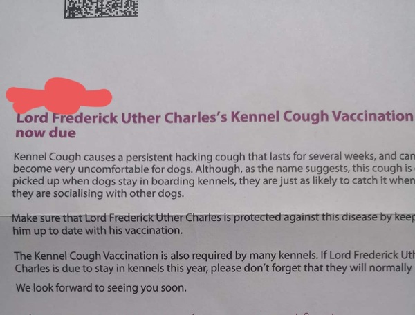 Best dog names you've ever come across