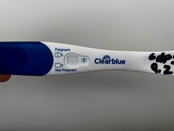 IVF January/February  2021? continued