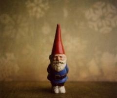 Do you want to help me find a garden gnome?