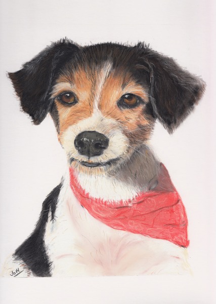 Art Prints vs Original Drawing - Pricing