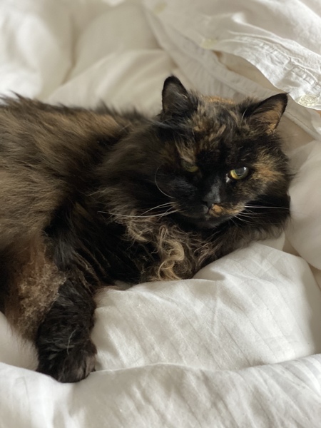 My grand old 17yr old lady
