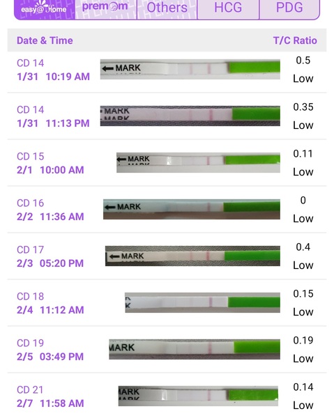 When should I expect to ovulate?