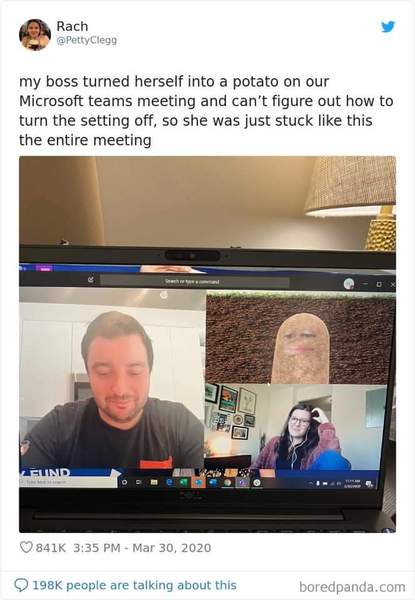 Have you seen the video of the lawyer stuck with the cat filter?