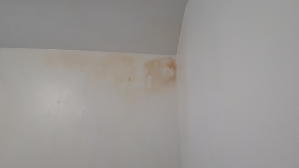 Damp/ water ingress. Please help me work out what needs doing