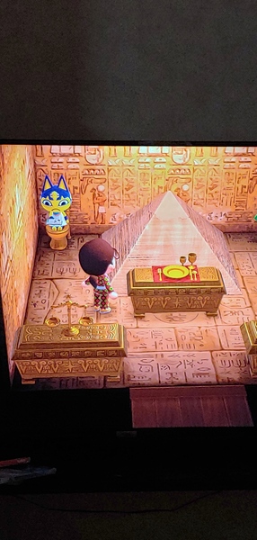 Animal Crossing New Horizons cont.