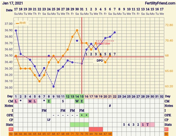 Meaty periods, ivf roadmaps & announcing BFPS on tannoy 📢TTC Bus 31