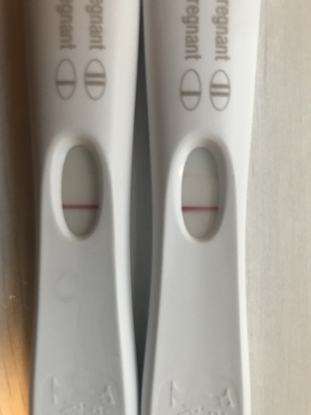 IVF January/February  2021? continued