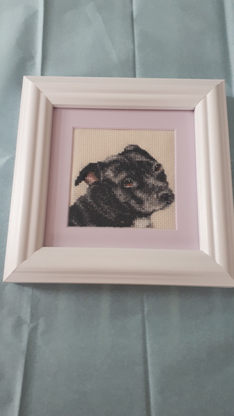 Best dog names you've ever come across