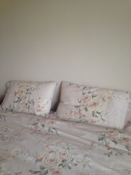 Pale pink/white paint help