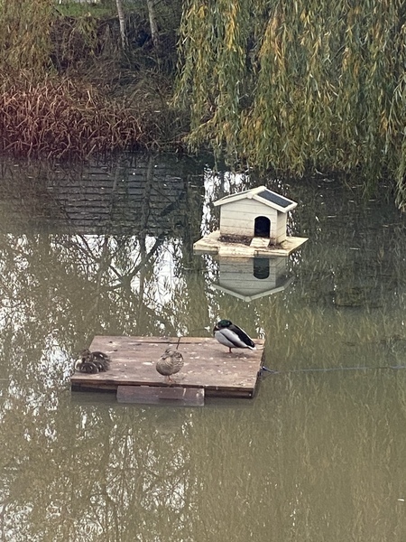 NOT what I expected to wake up to this morning...