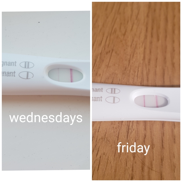 3 miscarriages in a row. Waiting on miscarriage clinic appointment