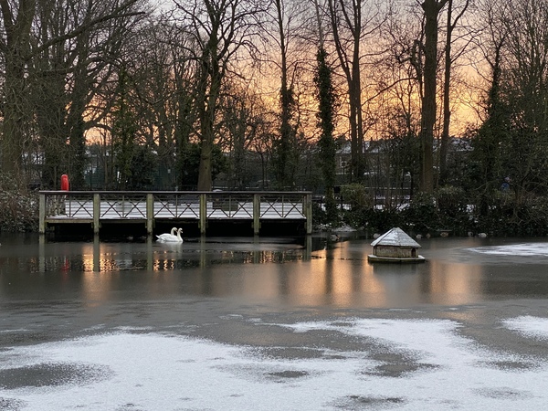 Snow Photos