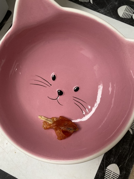 Frugal Friends Forging Forward Toward February and Further Financial Freedom