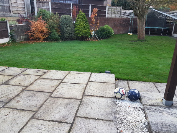 Pleached Trees - is this fool proof?