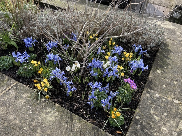 Any Witches here? Part 13