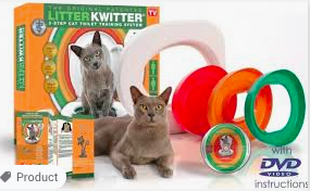 Toilet training kittens