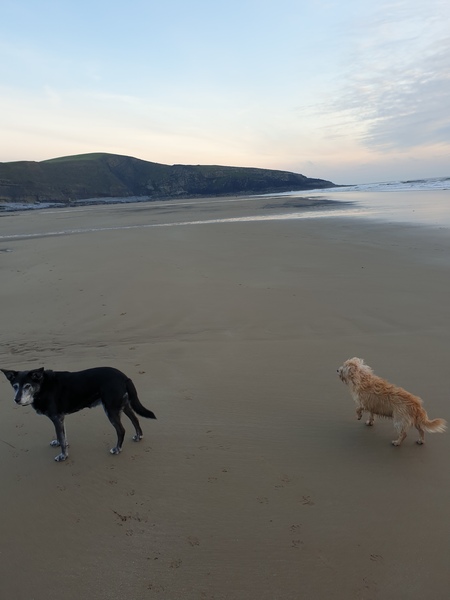 Week 3 - Jan '21 Low Carb Bootcamp - time for Light?