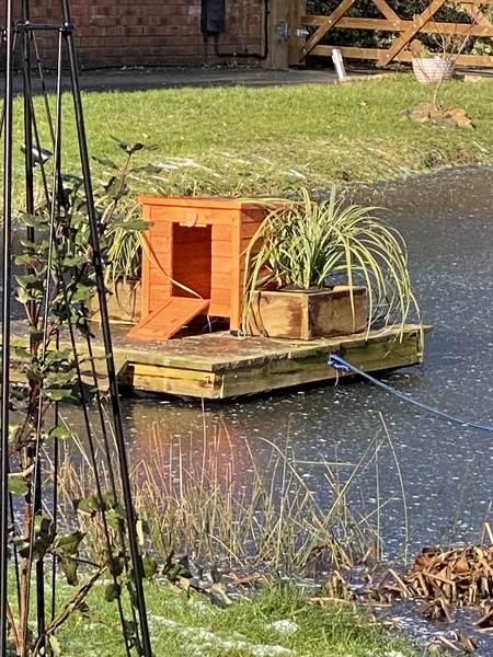 NOT what I expected to wake up to this morning...