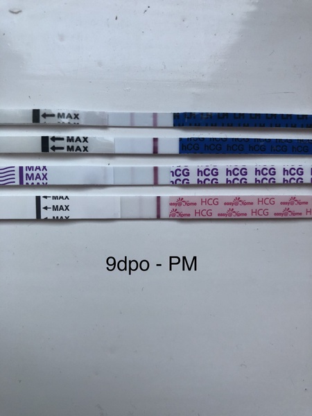 Easy@home evap line or positive