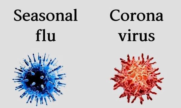 No flu season anywhere in the world this year ...
