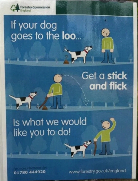 To ask what's wrong with running with a stick?