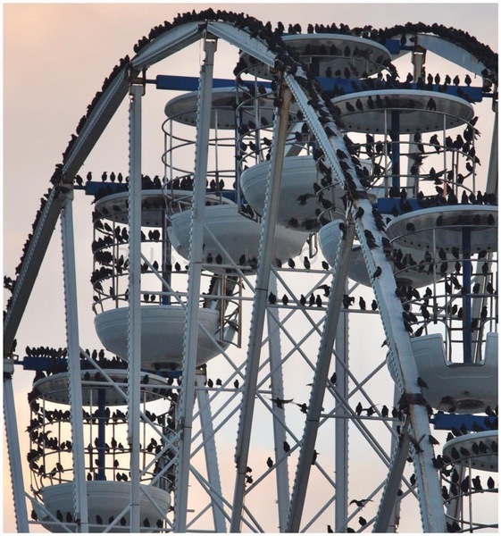 Blackpool: what is it really like now?