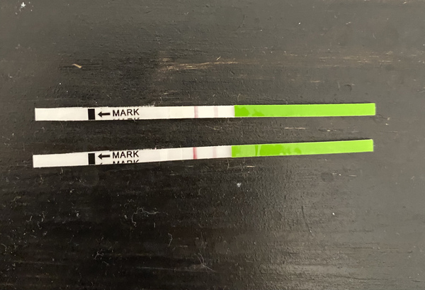 Positive OPK when AF due