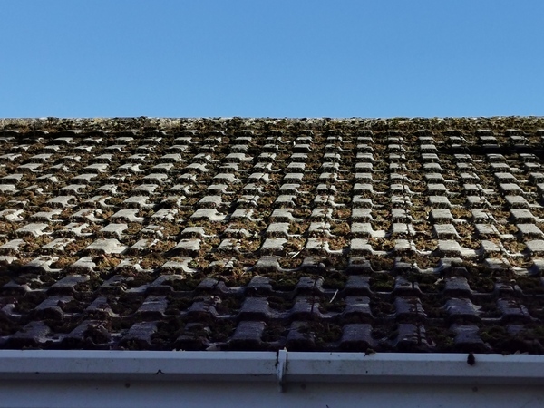 Should I clean moss off my roof?