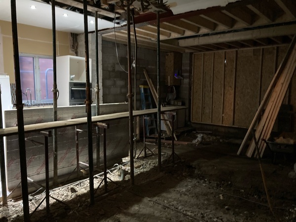 Extension 2020 part 2: pandemics, plaster & plumbing