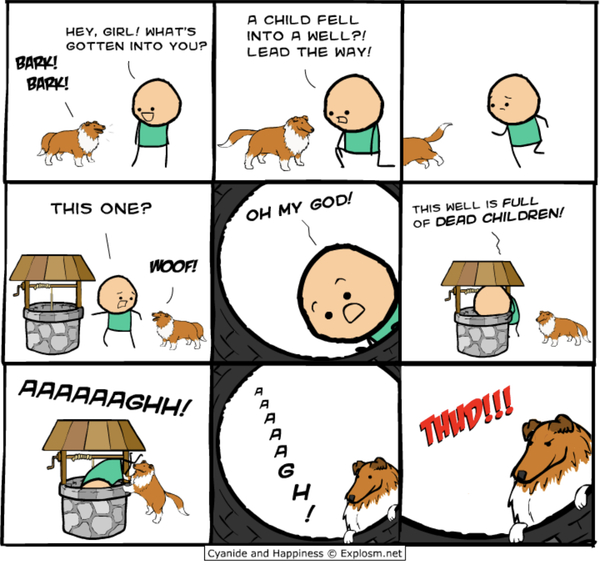 I’m just going to put it out there, kangaroos scare the crap out of me