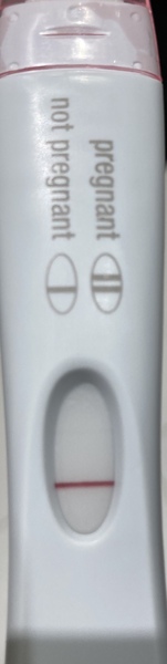 Ovulation due 27th January / Period due 10th February