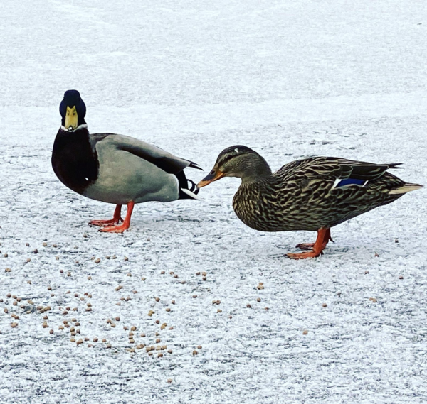 NOT what I expected to wake up to this morning...