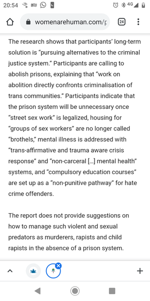 Trans campaigners want to abolish prisons - wonder why?