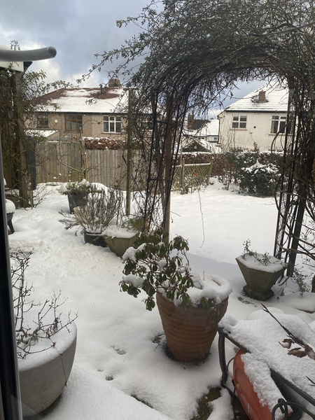 Sick of snow, cold, mud and lockdown.